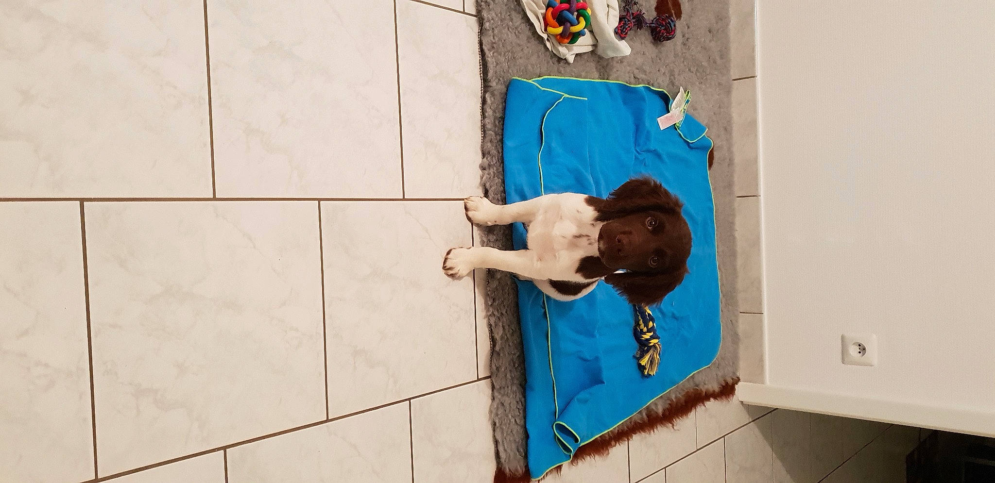 Rafale participe au concours pour gagner de l'argent avec cette photo : art, blue, brick, child, concrete, electric_blue, facade, flooring, fun, leisure, pattern, recreation, room, sitting, street_fashion, sunglasses, t_shirt, visual_arts, water, wood