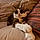 Aquiles
