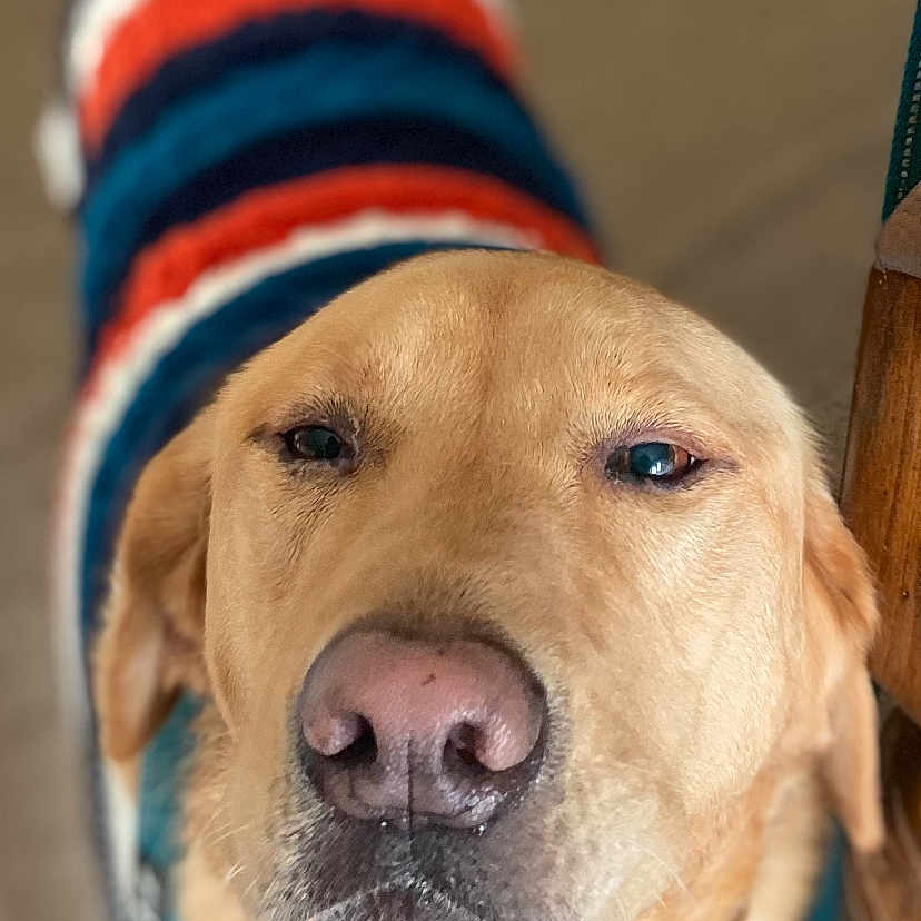 Smokey