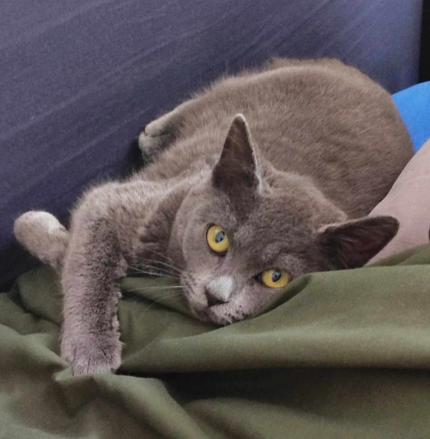 Luna