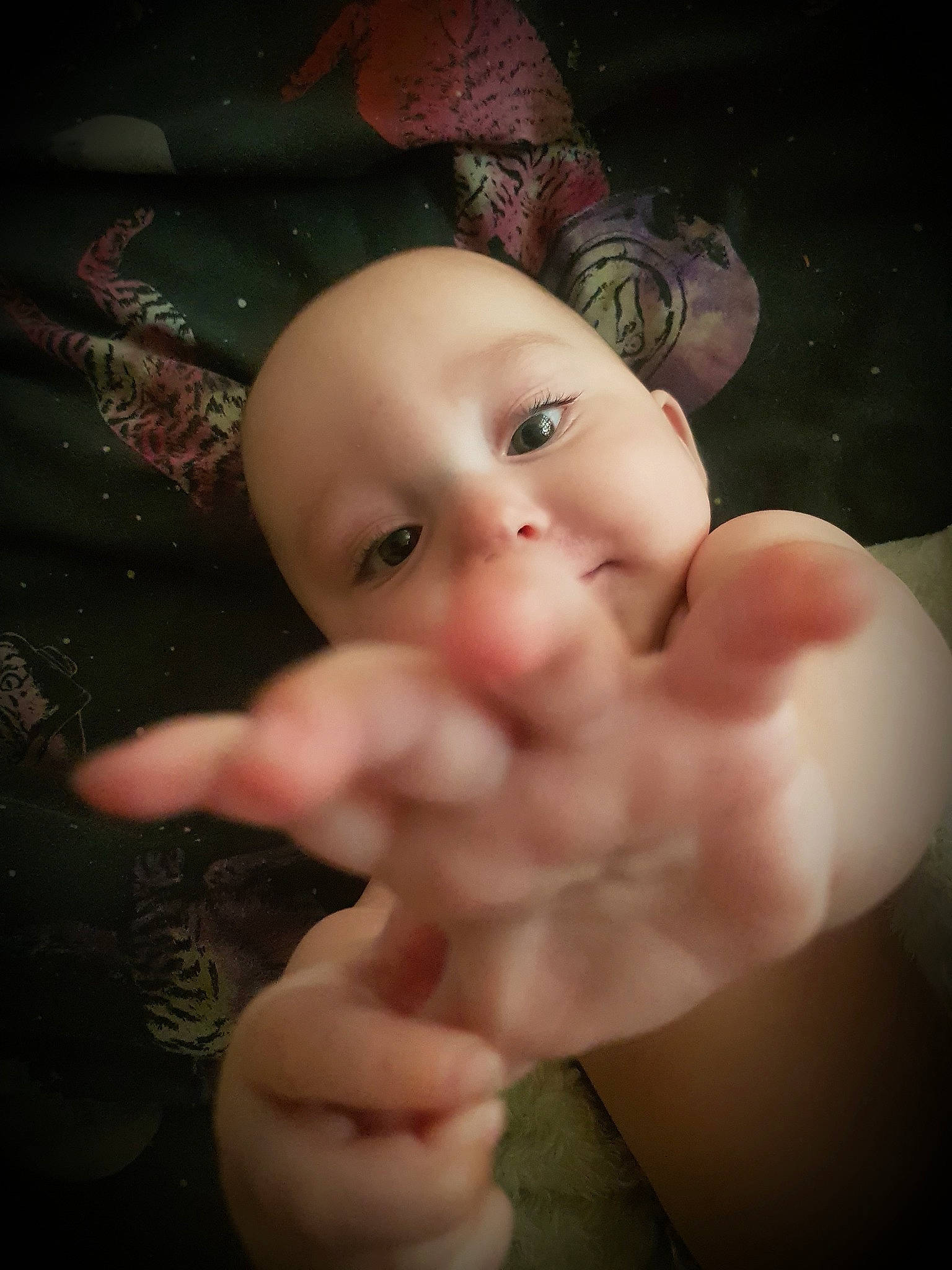 Annabella is registered to the contest to win money with this photo: baby, cheek, chest, child, doll, eyelash, finger, gesture, happy, head, human_body, nail, navel, nose, ornament, person, pink, thumb, toy, trunk