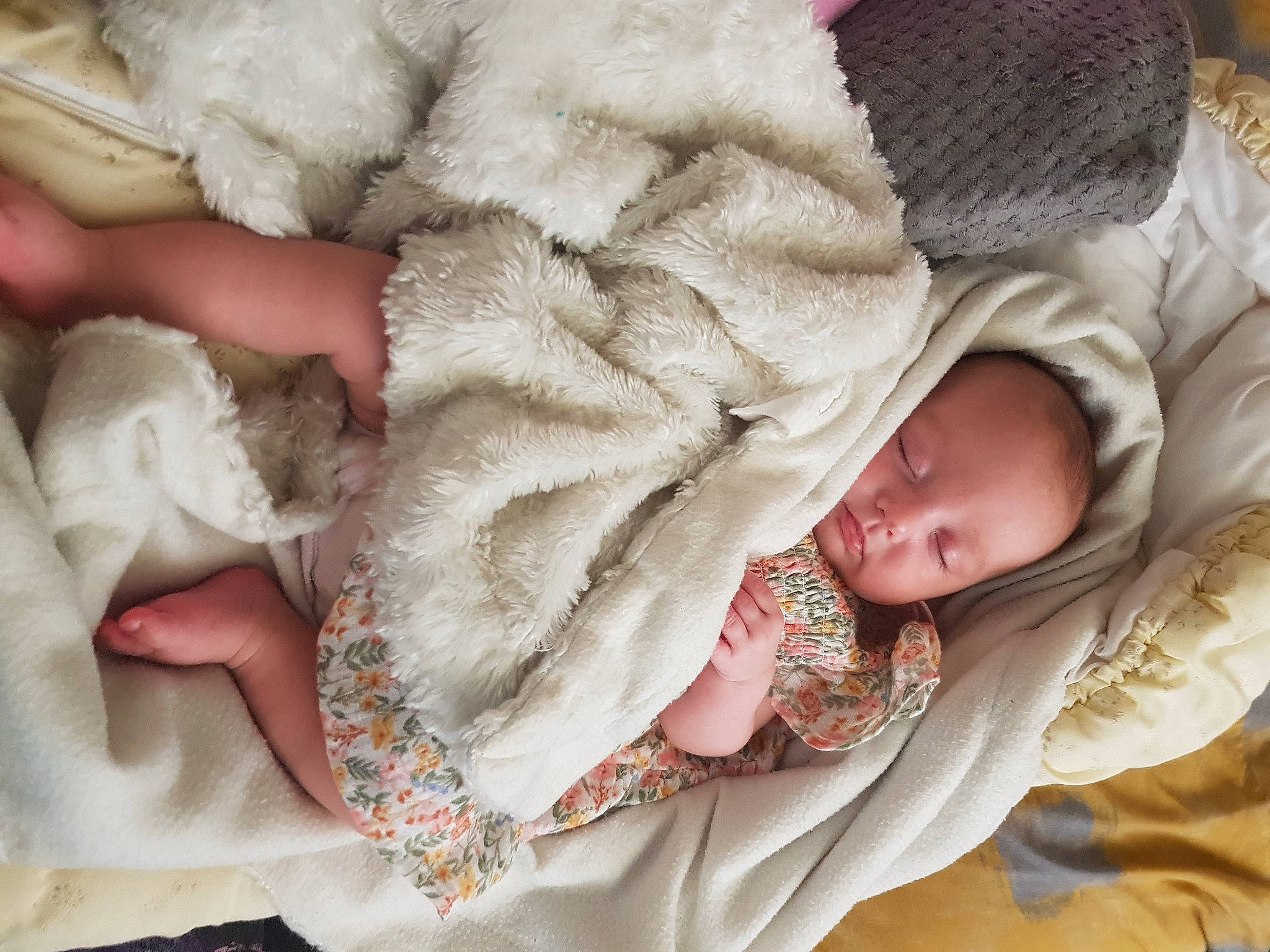 Annabella is registered to the contest to win money with this photo: baby, baby_products, baby_sleeping, baby_toddler_clothing, beige, cap, cheek, child, collar, comfort, fashion_accessory, fur, linens, outerwear, pattern, person, pink, skin, toddler, wool