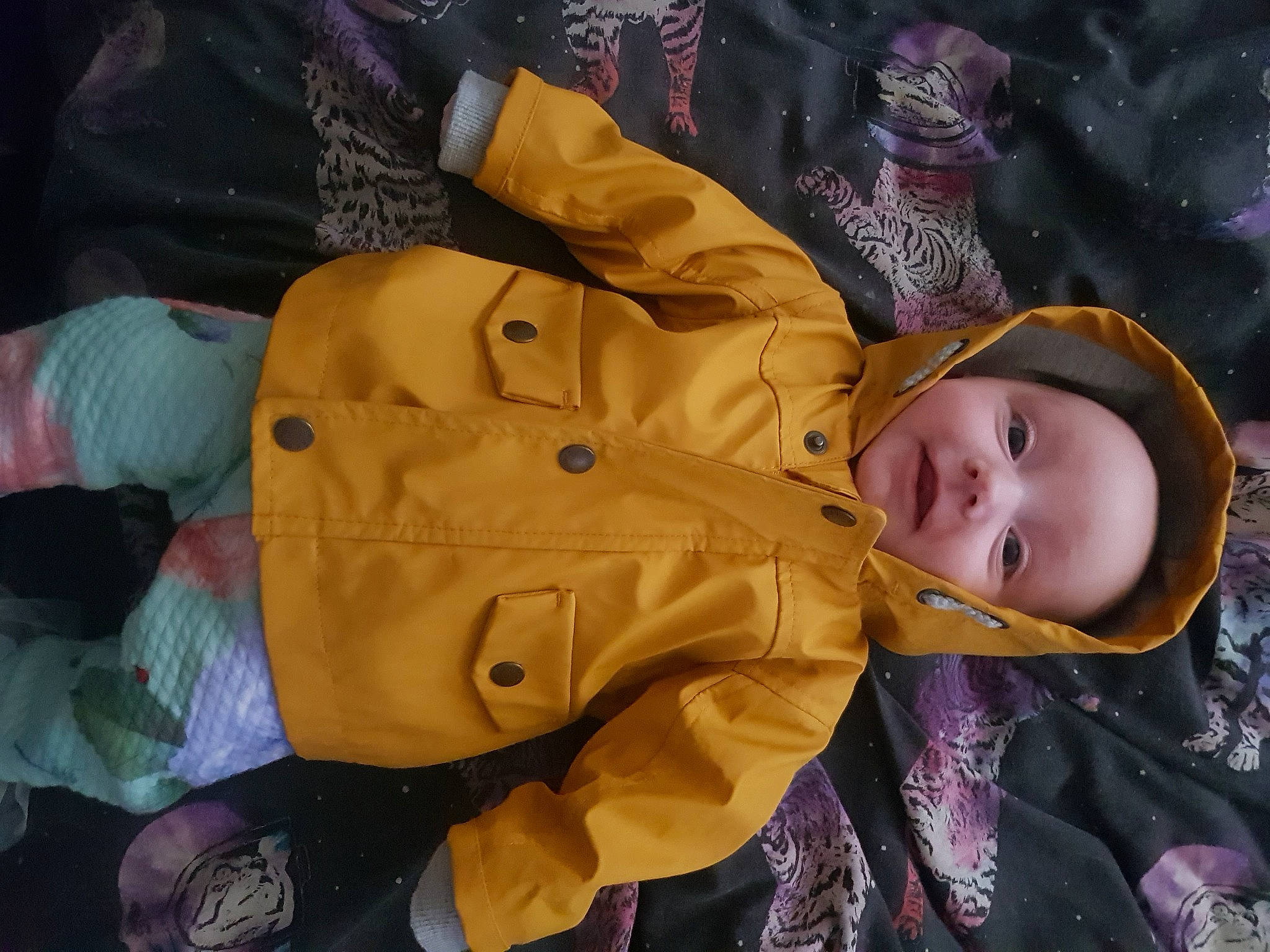 Annabella is registered to the contest to win money with this photo: baby, baby_products, baby_toddler_clothing, cheek, child, fun, fur, hat, person, toddler, tree