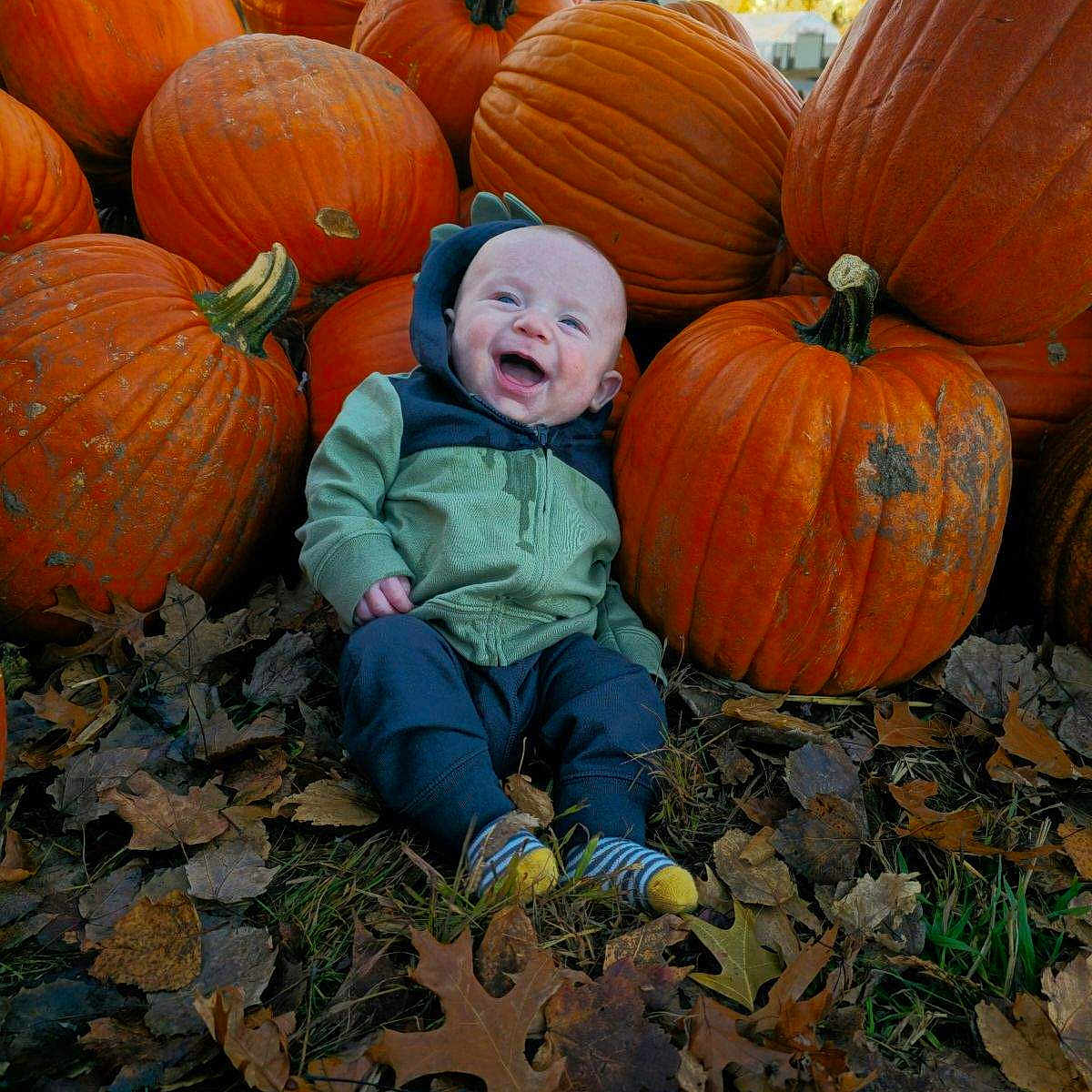 Killian is registered to the contest to win money with this photo: baby, clothing, coat, face, food, grass, head, jacket, leaf, pants, person, photography, plant, portrait, produce, pumpkin, soil, squash, vegetable, vegetation