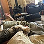blanket, cat, couch, cozy, cup, fan, home_decor, indoor, living_room, person, pet, pillow, relaxing, remote, shelf, sleeping, tabby_cat, table, tv, wood_stove