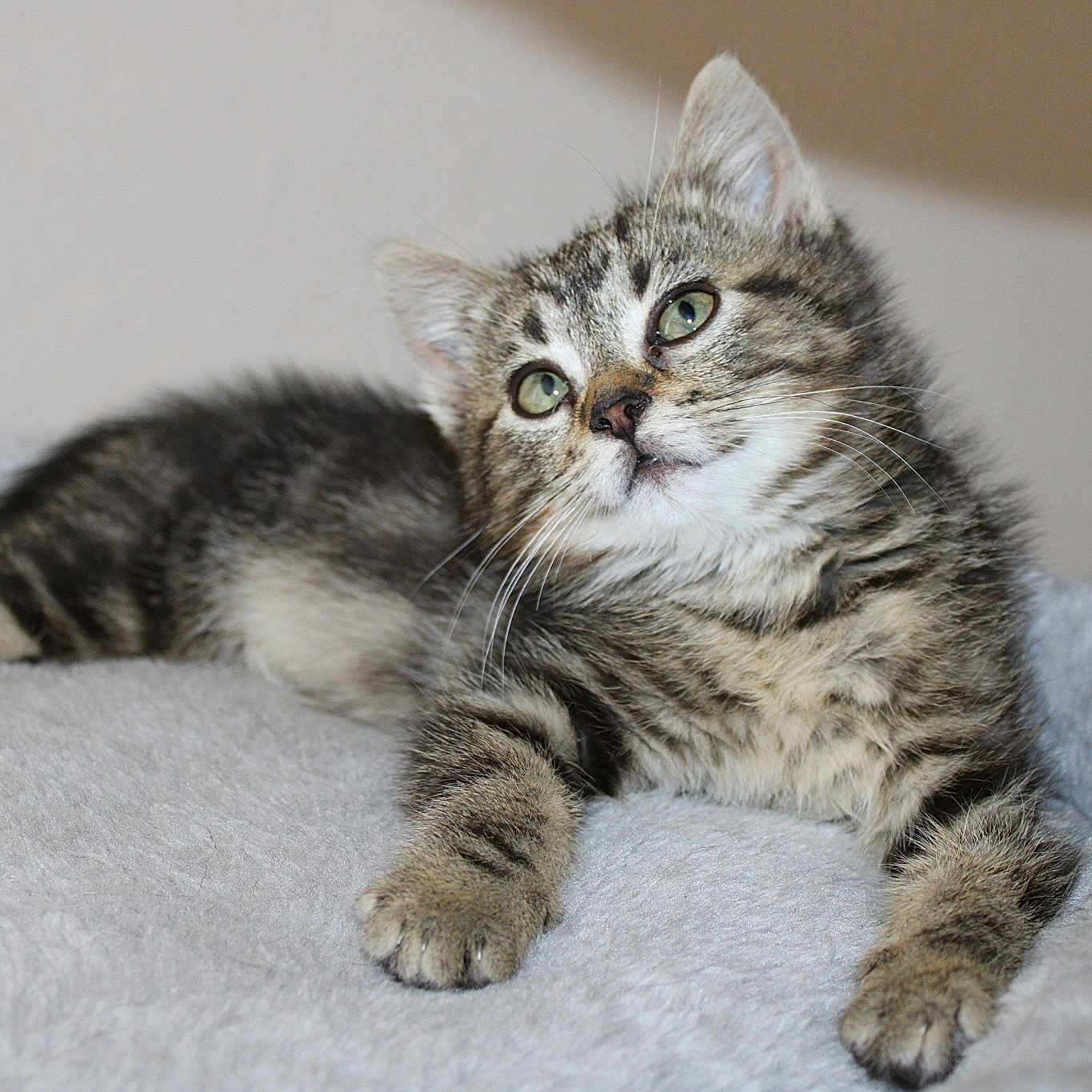Tina