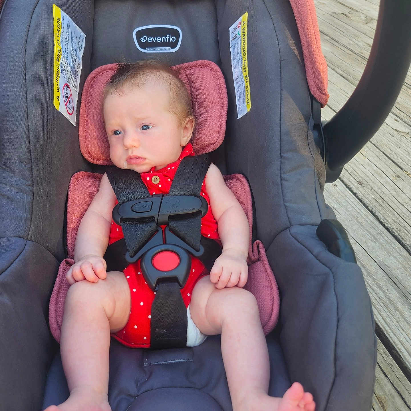 Bristlynn Miller is registered to the contest to win money with this photo: baby, bare_feet, blue_eyes, buckled, car_seat, child, deck, face, hands, harness, infant, outdoor, photograph, pink_blanket, polka_dots, portrait, red_outfit, sitting, vehicle_seat, wooden_deck