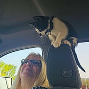 Willow joined the competition — help win amazing prizes! cat, kitten, woman, glasses, car_interior, car_seat, headrest, black_and_white, pet, curious, natural_light, daylight, window, driver_seat, portrait, smile, long_hair, vehicle, indoor, affection