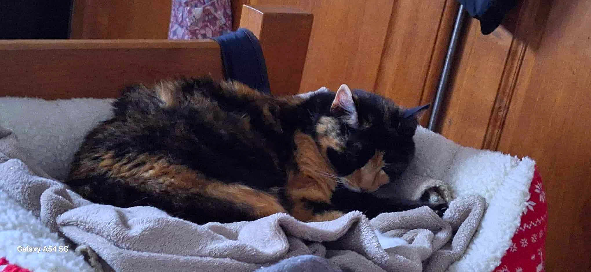 Melba