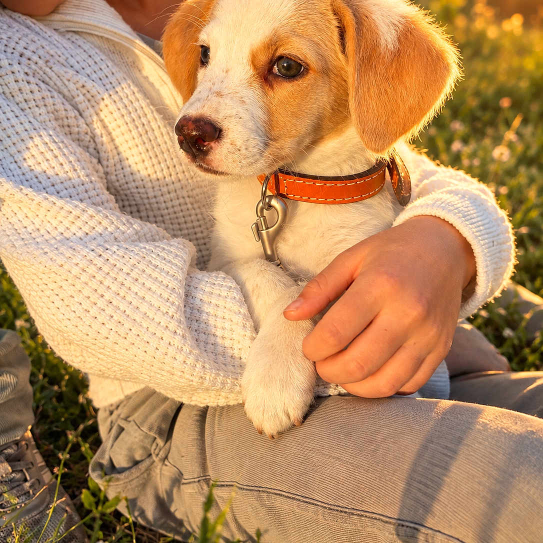 Bella