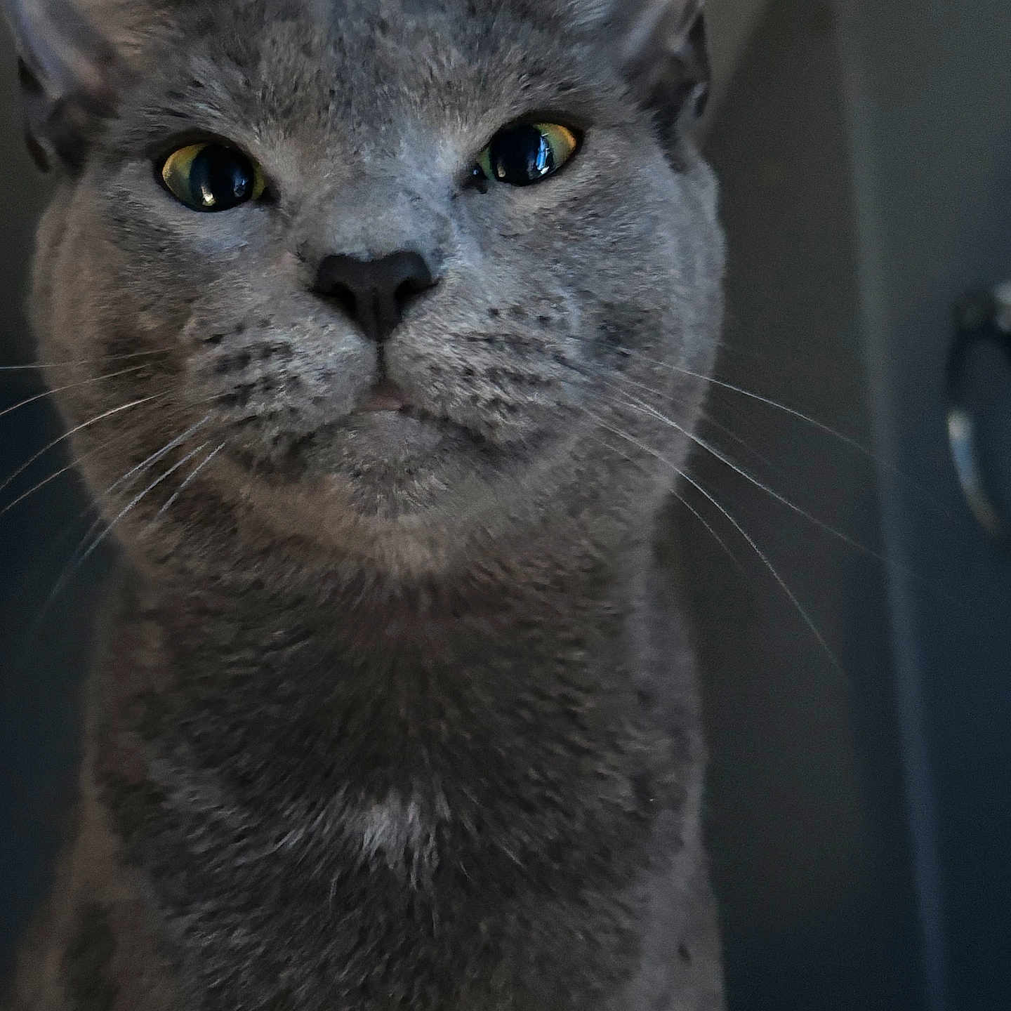 Lil Bit