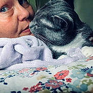 White Girl is registered to the contest to win money with this photo: cat, woman, human, face, portrait, kissing, cuddling, affection, whiskers, gray_fur, white_paws, pet, blanket, bed, floral_pattern, cozy, indoors, close_up, snuggling, sleeping