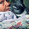 cat, woman, human, face, portrait, kissing, cuddling, affection, whiskers, gray_fur, white_paws, pet, blanket, bed, floral_pattern, cozy, indoors, close_up, snuggling, sleeping