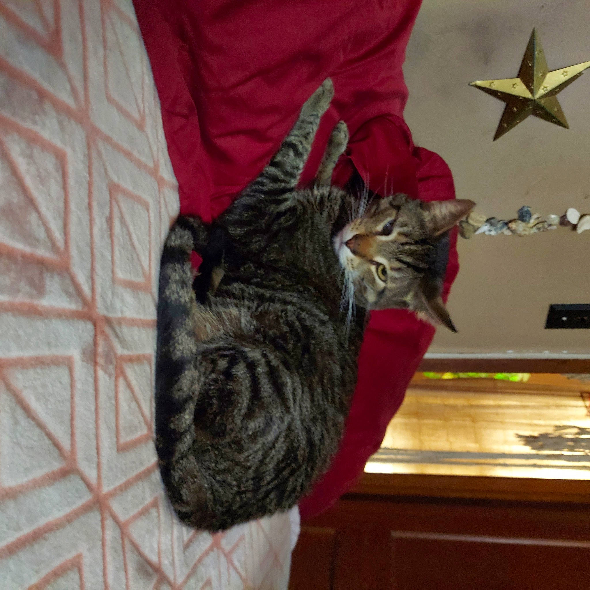 Mr Finn Csuvay-wentz