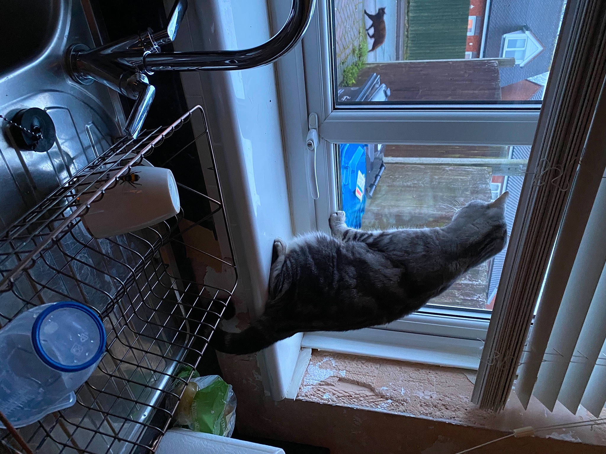 Austin is registered to the contest to win money with this photo: auto_part, automotive_design, automotive_exterior, automotive_lighting, automotive_tire, car, glass, headlamp, hood, interior_design, machine, mechanical_fan, metal, motor_vehicle, tableware, vehicle, vehicle_door, window, windshield, wood