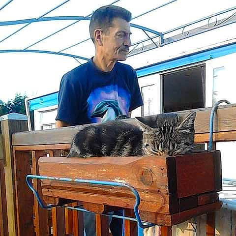 Hia participe au concours pour gagner de l'argent avec cette photo : carnivore, cat, felidae, small_to_medium_sized_cats