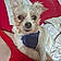 Mylo