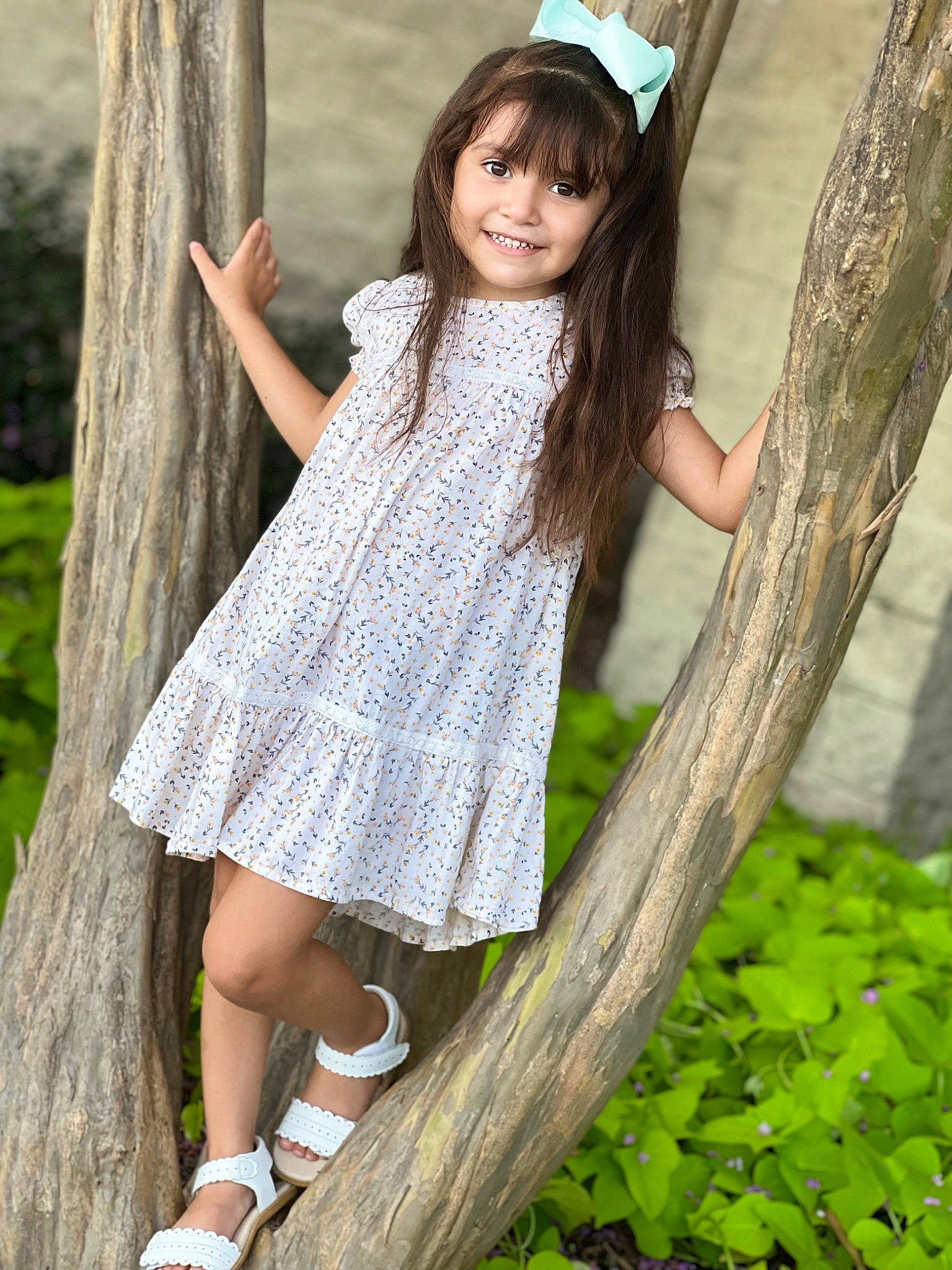 Ayleen Torres is registered to the contest to win money with this photo: botany, eye, face, facial_expression, green, hair, hairstyle, human_body, joint, joy, leg, nature, people_in_nature, person, photograph, plant, shoe, shoulder, skin, smile