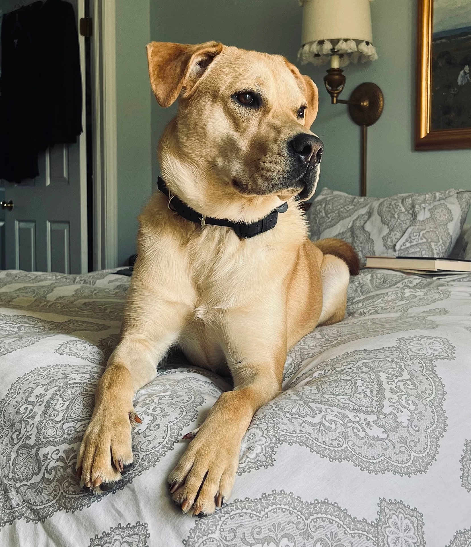 Penny Lane