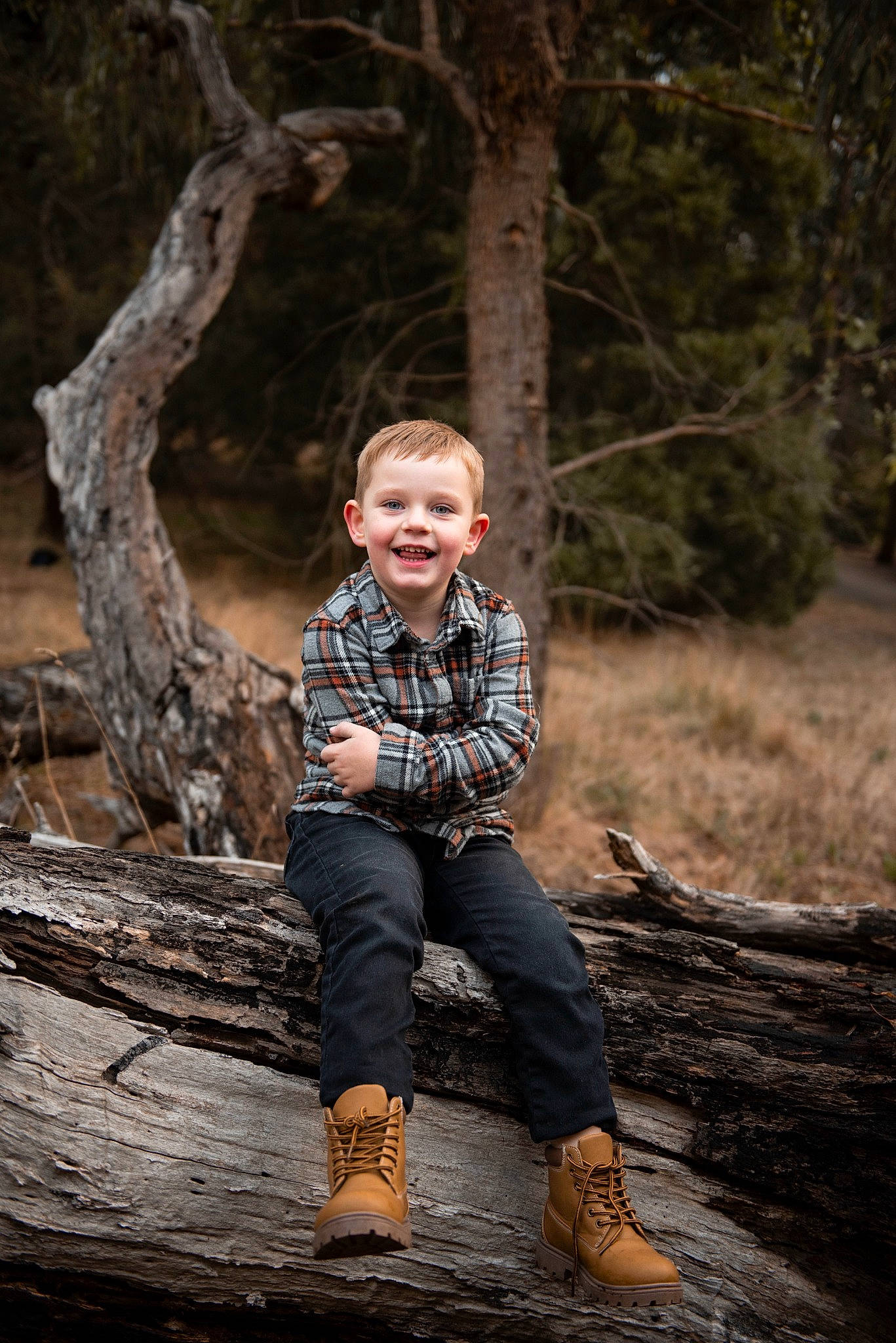 Isaiah is registered to the contest to win money with this photo: branch, denim, flash_photography, forest, grass, happy, jeans, joy, leg, people_in_nature, person, plant, sitting, smile, standing, toddler, tree, trunk, twig, wood