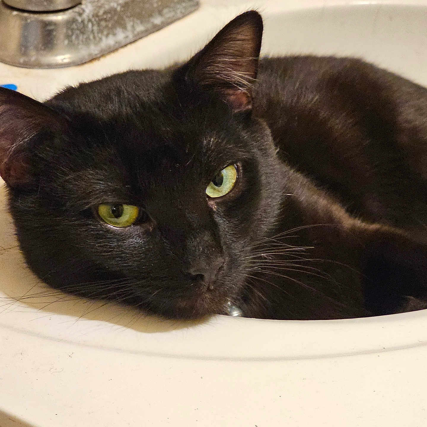 Blackie