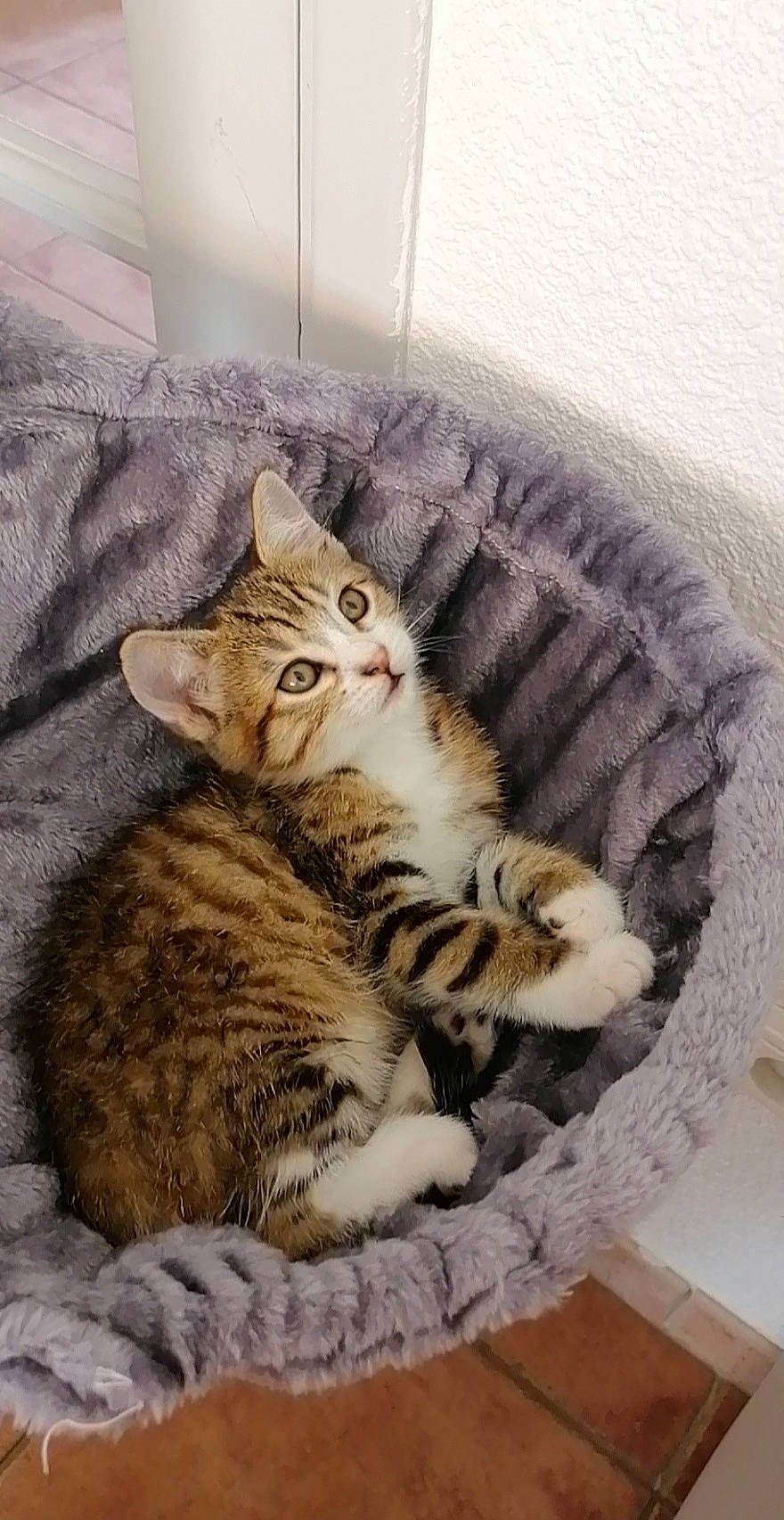 Yuki