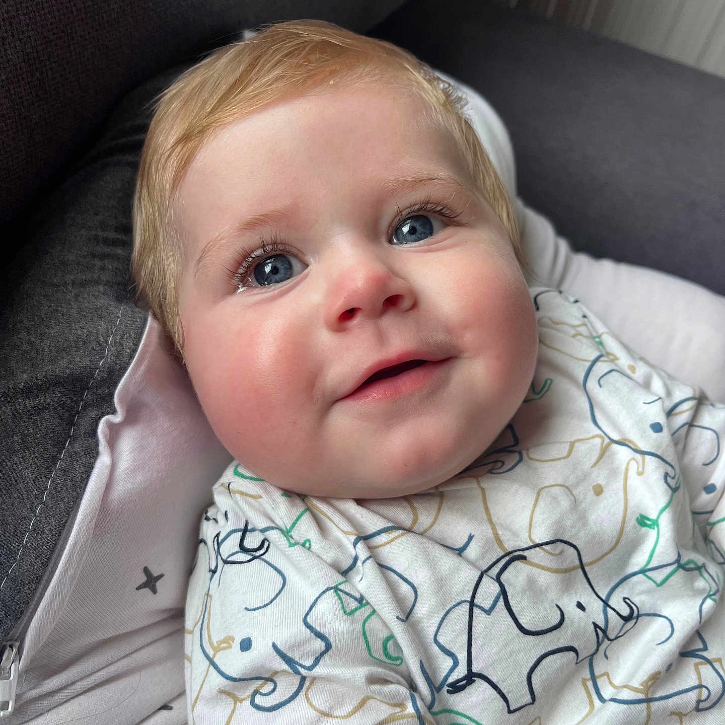 Esteban participe au concours pour gagner de l'argent avec cette photo : baby, blanket, blonde, clothing, couch, cushion, face, furniture, hair, happy, head, homedecor, newborn, person, photography, pillow, portrait, selfie, smile, t_shirt