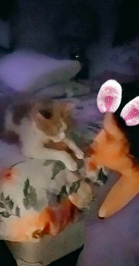 Noam is registered to the contest to win money with this photo: art, canidae, companion_dog, dog_breed, fawn, felidae, flooring, flower, fur, grass, human_leg, paw, petal, tail, visual_arts, whiskers