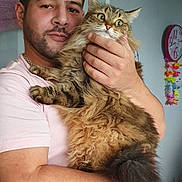 Pepete a rejoint le concours — aidez-le/la à gagner de superbes lots ! arm, beard, casual_clothing, cat, chain_necklace, clock, colorful_decorations, expression, fluffy_cat, furniture, holding, home, indoor, light_pink_shirt, man, pet, portrait, short_hair, surprised_cat, towel