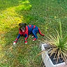 dog, spiderman_costume, superhero, pet, outdoor, grass, garden, plant, potted_plant, yard, animal, black_dog, sitting, lying_down, tongue_out, costume, portrait, daylight, nature, funny
