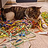 cat, tabby, pet, animal, feline, striped_fur, white_paws, lying_down, playing, streamers, party_decorations, colorful, toy, balls, floor, indoors, home, tile_floor, focused, whiskers