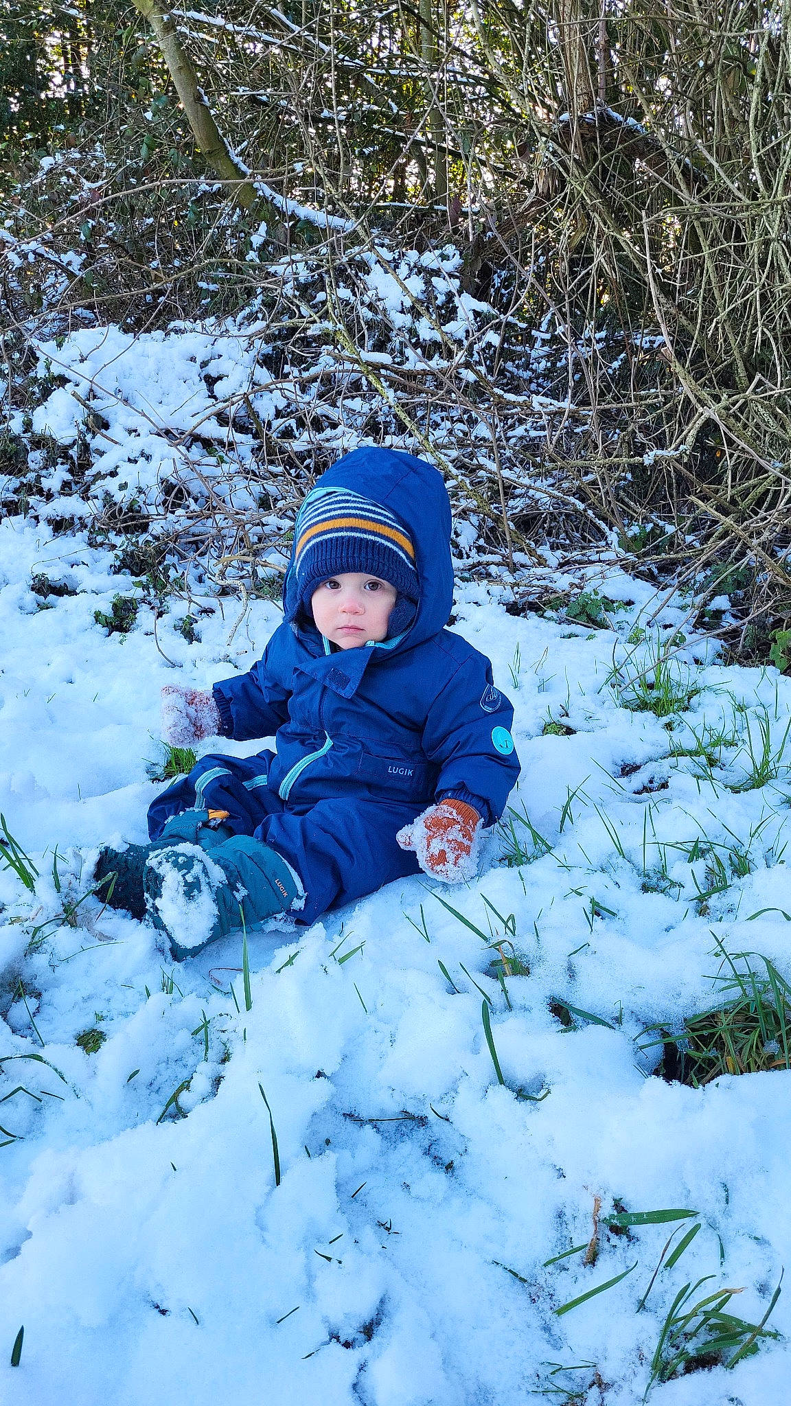 Leeroy a rejoint le concours — aidez-le/la à gagner de superbes lots ! baby, baby_toddler_clothing, child, electric_blue, freezing, frost, fun, grass, headwear, hoodie, landscape, mammal, people_in_nature, person, plant, recreation, sitting, snow, toddler, tree