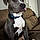 Roxy