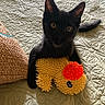 black_cat, kitten, toy, plush_toy, bedspread, textured_bedspread, indoor, pet, animal, cute, small_cat, yellow_toy, orange_toy, sitting, looking_at_camera, feline, domestic_cat, home, cozy, playful