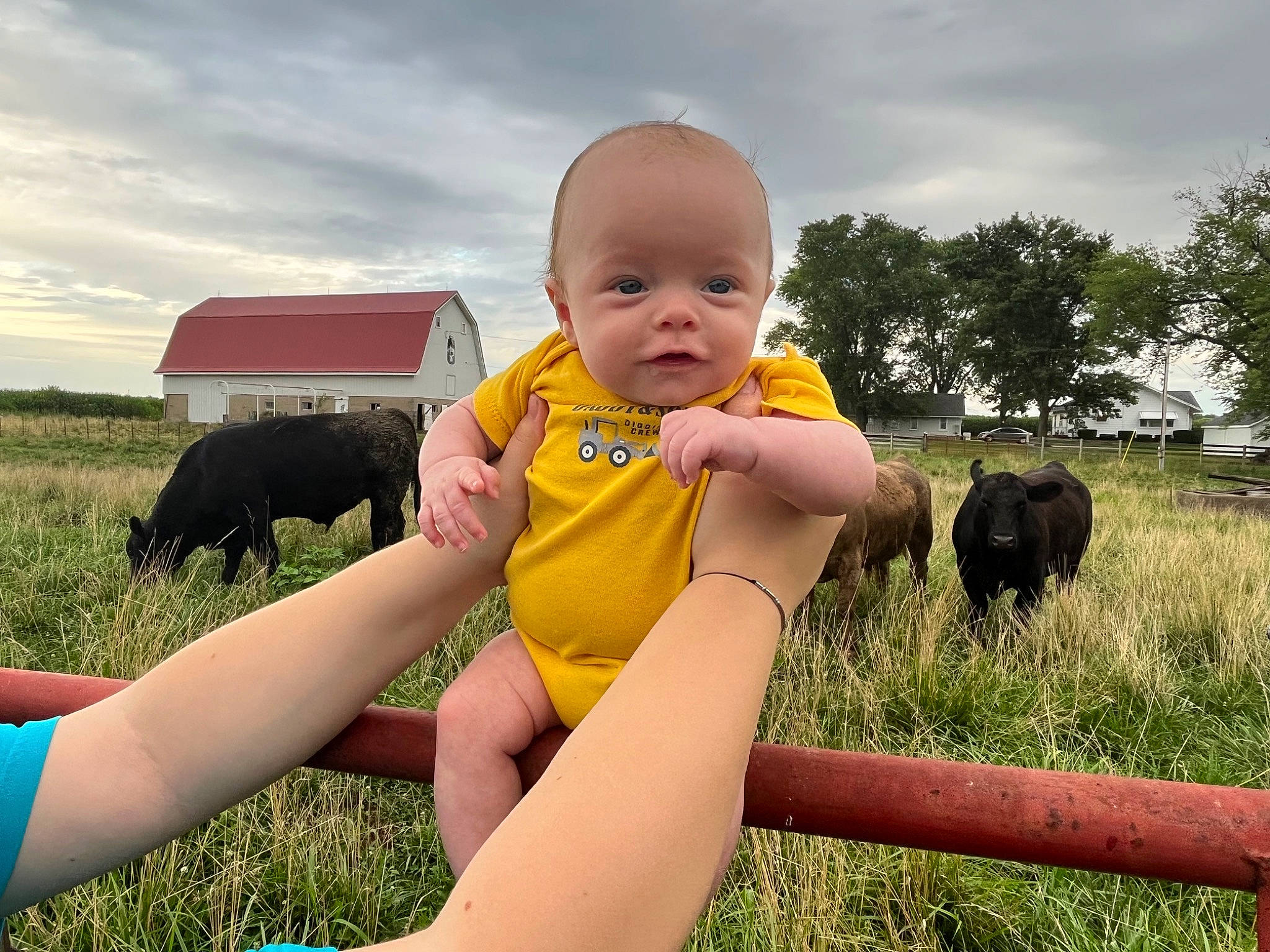 Carter is registered to the contest to win money with this photo: baby, baby_toddler_clothing, cloud, eye, finger, fun, gesture, grass, hand, happy, human_body, leg, leisure, mammal, natural_environment, people_in_nature, person, plant, skin, sky