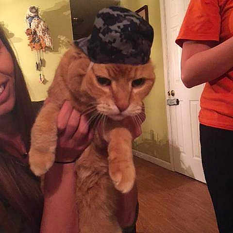 Taj is registered to the contest to win money with this photo: