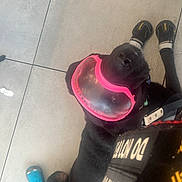 Maggie May Barnhill joined the competition — help win amazing prizes! animal, black_dog, blue_shoe, candid, casual, cone, curious, dog, floor, footwear, indoor, leash, looking_up, person, pet, protective_collar, resting, sandals, socks, tile_floor