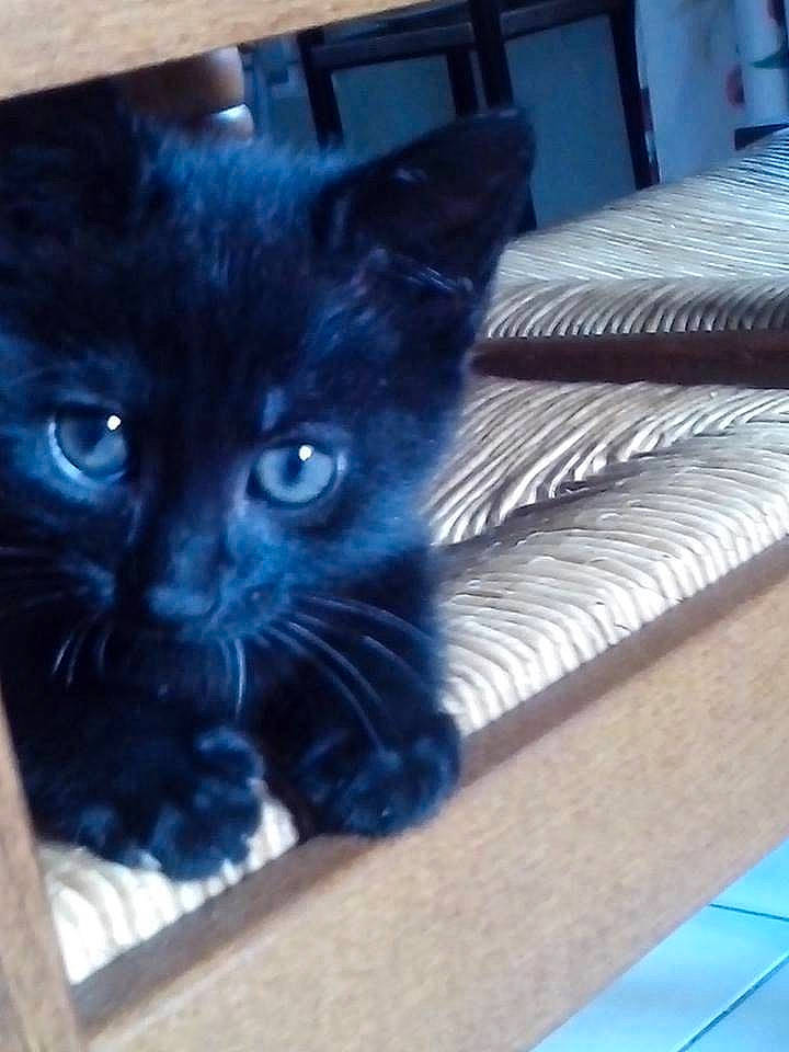 Tchoupi participe au concours pour gagner de l'argent avec cette photo :