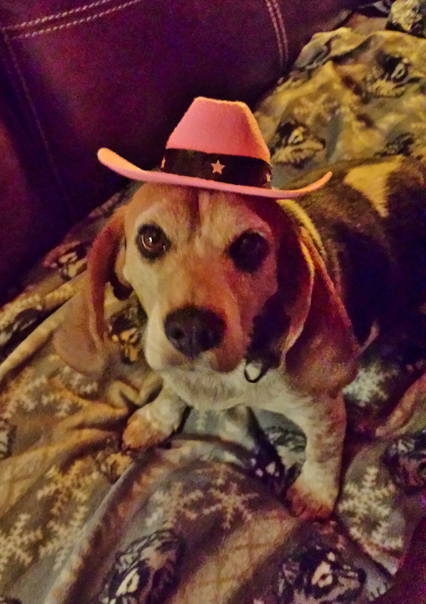 Jessie Jane Maybelline