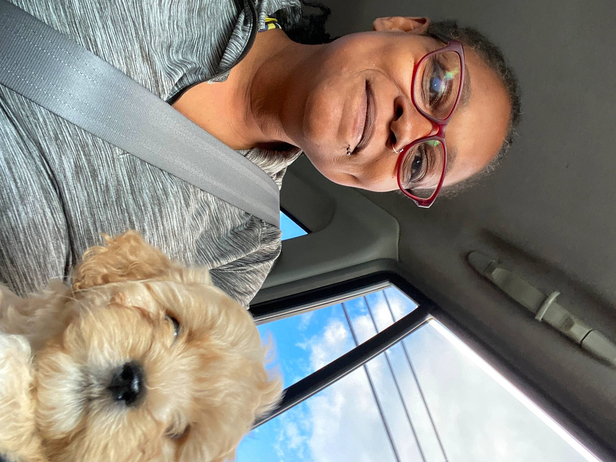 Chance joined the competition — help win amazing prizes! canidae, carnivore, comfort, companion_dog, dog, dog_breed, eyewear, flash_photography, fur, happy, labradoodle, organ, selfie, small_terrier, smile, sunglasses, terrier, toy_dog, vision_care, window