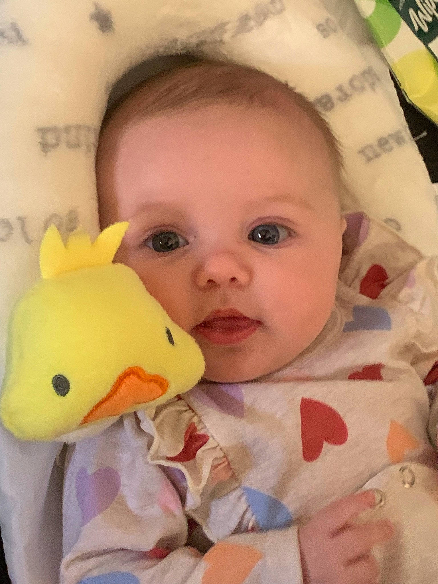 Emberlynn is registered to the contest to win money with this photo: arm, cheek, chin, eye, eyebrow, face, facial_expression, forehead, hair, hairstyle, hand, head, human_body, lip, mouth, nose, organ, person, product, skin