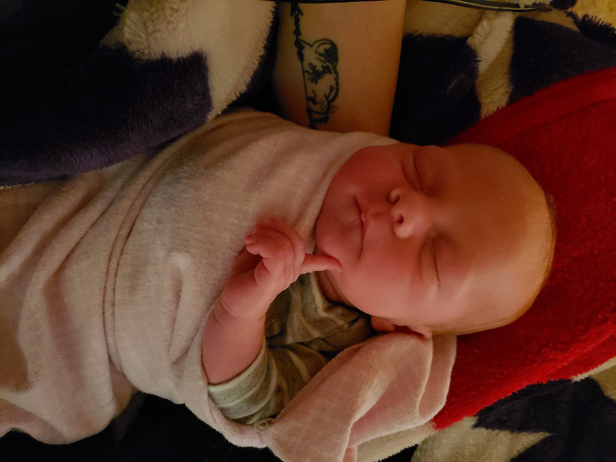 Breya is registered to the contest to win money with this photo: baby, cheek, child, ear, head, lip, mouth, nap, nose, person, skin, sleep, smile, toddler