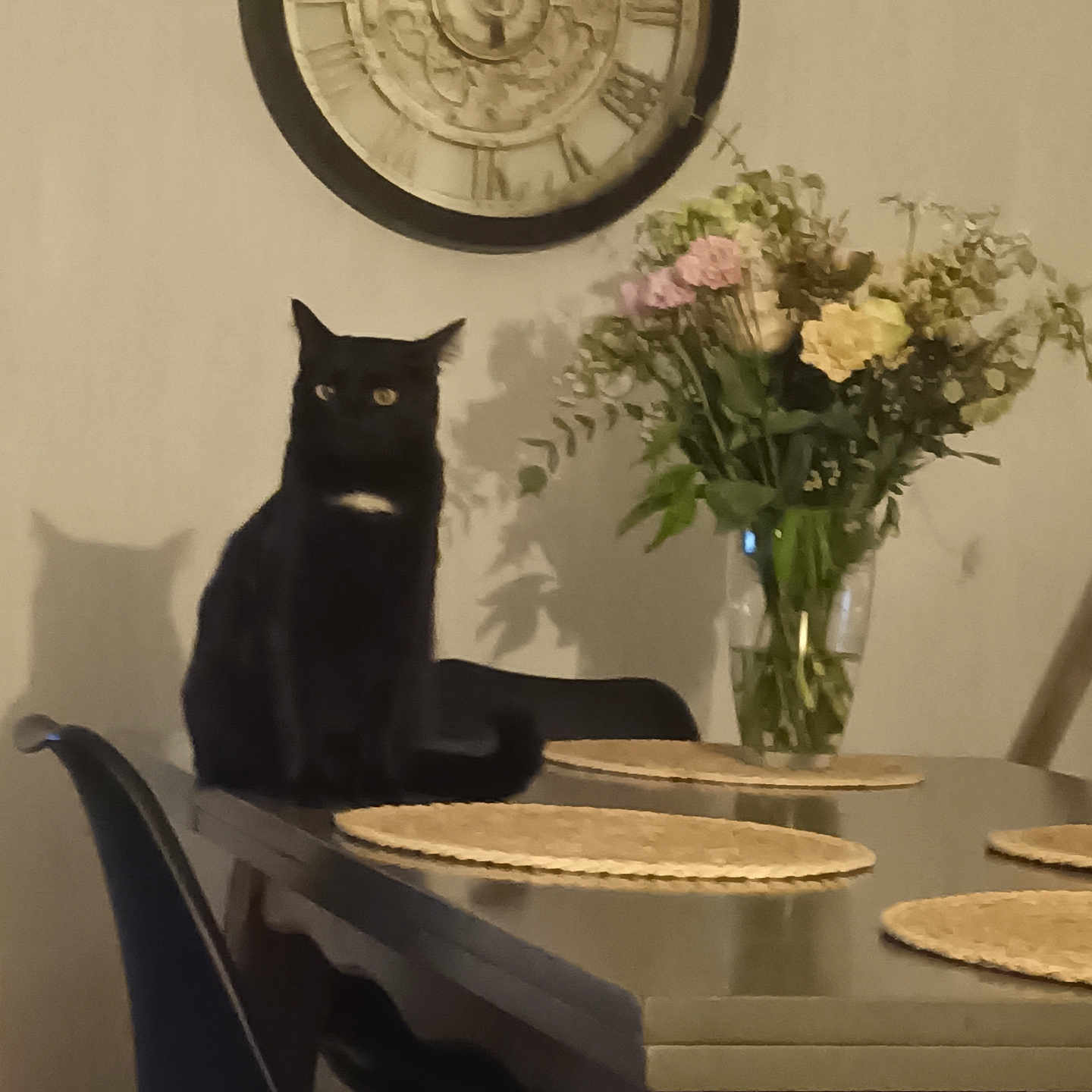 Pepsi participe au concours pour gagner de l'argent avec cette photo : cat, black_cat, dining_table, placemats, vase, flowers, clock, shadow, indoor, furniture, chair, wood, decor, plant, wall, tabletop, still_life, pet, animal, home