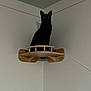 black_cat, cat, wooden_shelf, corner, wall, indoor, pet, animal, feline, quiet, shadow, eyes, perched, curious, home, minimalist, furniture, quiet_moment, stillness, sitting