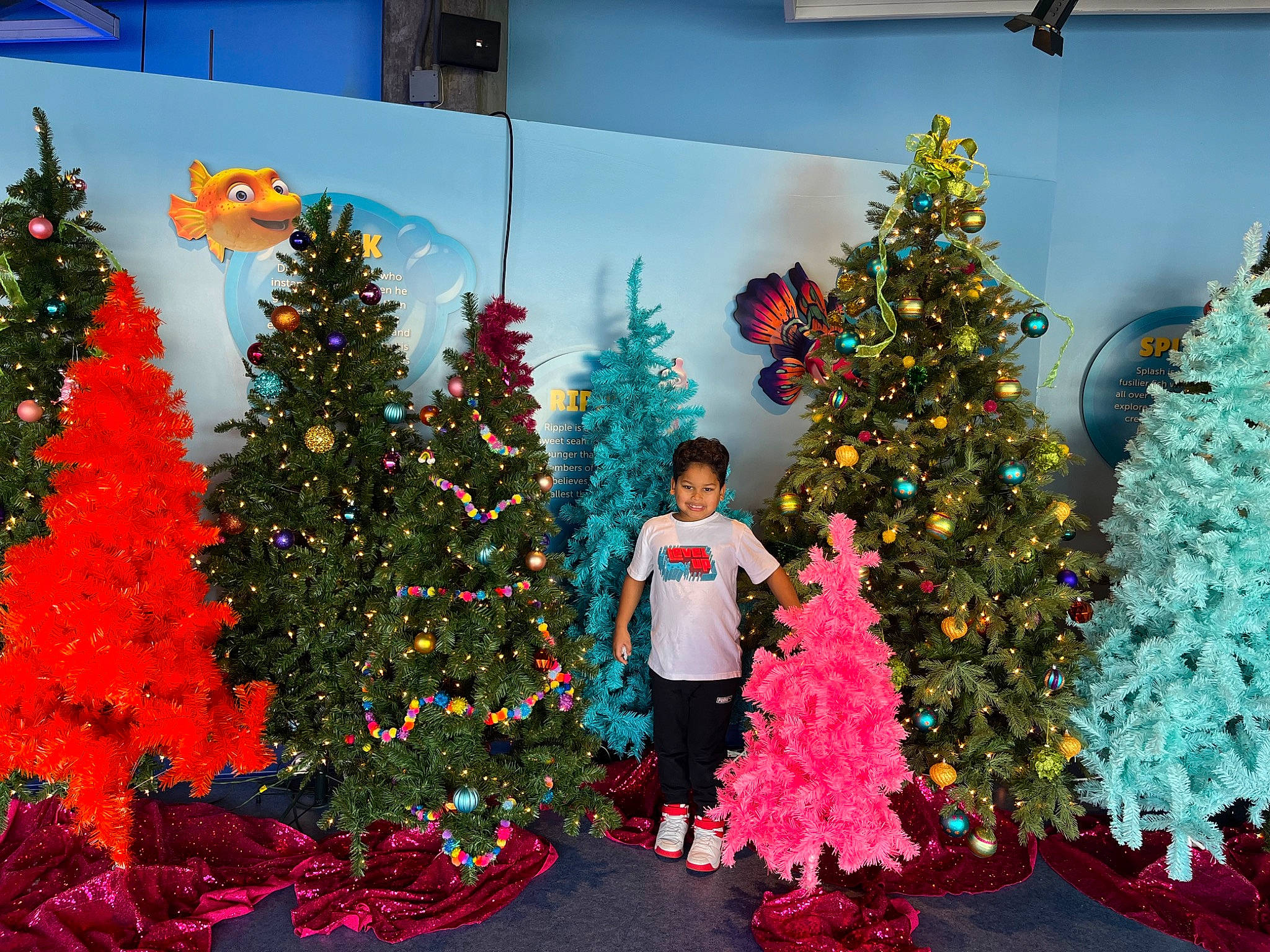 Wilderson is registered to the contest to win money with this photo: branch, christmas, christmas_decoration, christmas_eve, christmas_ornament, christmas_tree, event, evergreen, fun, green, holiday, holiday_ornament, interior_design, joy, light, lighting, ornament, person, plant, red