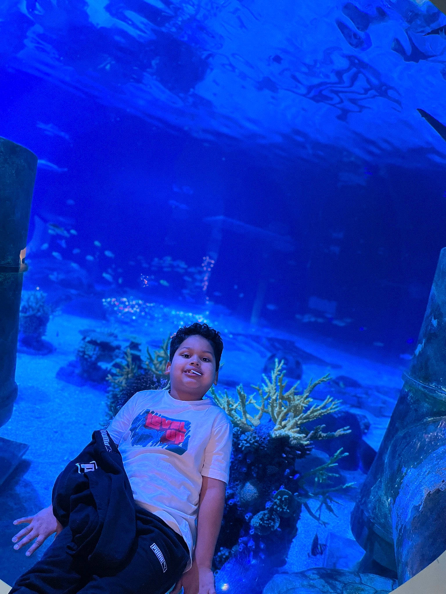 Wilderson joined the competition — help win amazing prizes! aqua, aquarium, azure, backpack, bag, blue, electric_blue, event, fun, joy, leisure, luggage_and_bags, marine_biology, organism, person, recreation, smile, travel, underwater, vertebrate