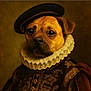 Scoot is registered to the contest to win money with this photo: dog, portrait, costume, renaissance, beret, ruffled_collar, brown, face, animal, historical_clothing, artistic, dressed_up, canine, vintage_style, painting_style, serious_expression, old_fashioned, brown_fur, studio_lighting, classic