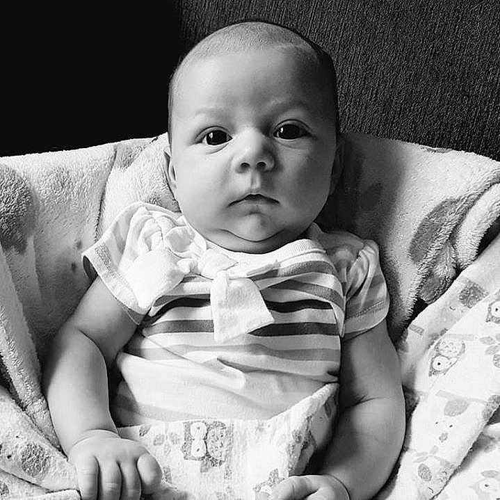 Sloan joined the competition — help win amazing prizes!