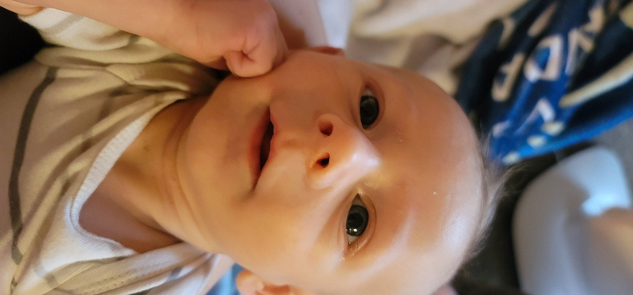 Blaze joined the competition — help win amazing prizes! baby, baby_products, baby_toddler_clothing, cheek, child, close_up, ear, eyelash, forehead, happy, iris, lip, mouth, no_expression, nose, person, portrait_photography, skin, smile, toddler