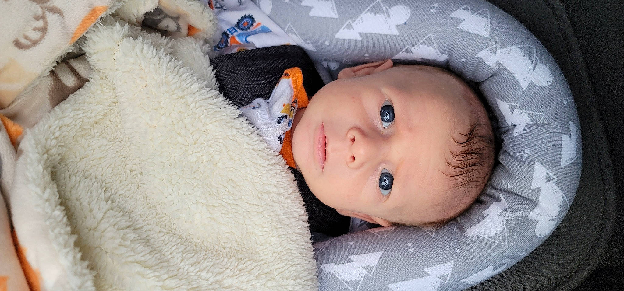 Blaze joined the competition — help win amazing prizes! baby, baby_toddler_clothing, cheek, child, comfort, couch, eyebrow, eyelash, flash_photography, fur, hat, iris, linens, lip, nose, pattern, person, portrait_photography, skin, stuffed_toy